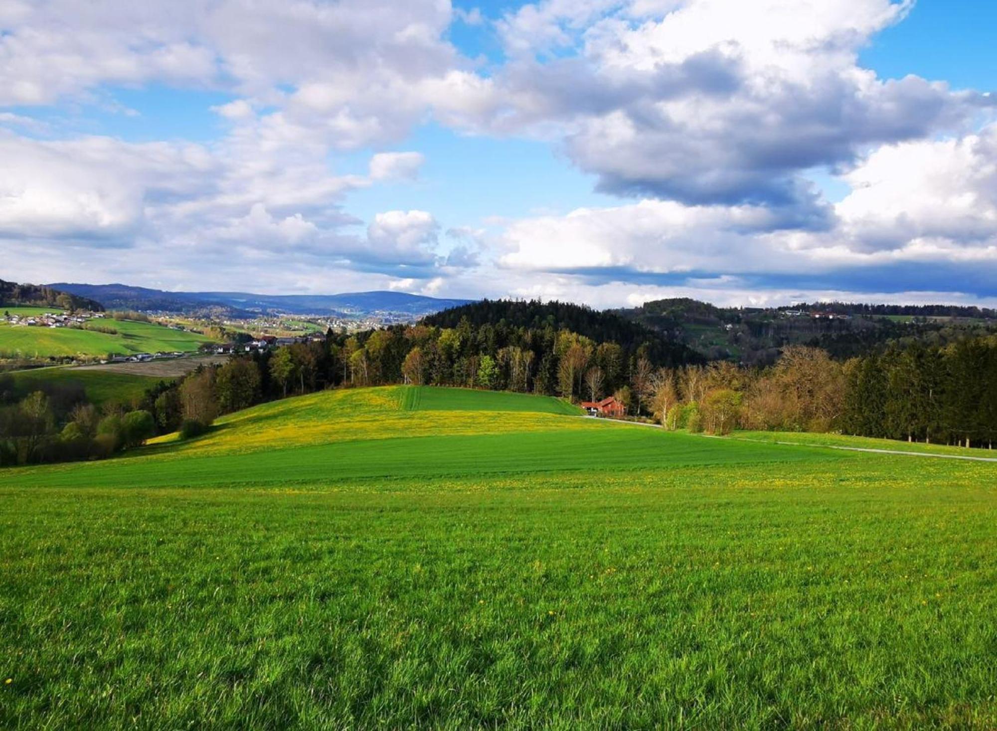 Ferienwohnung am Woid Waldkirchen Exterior foto