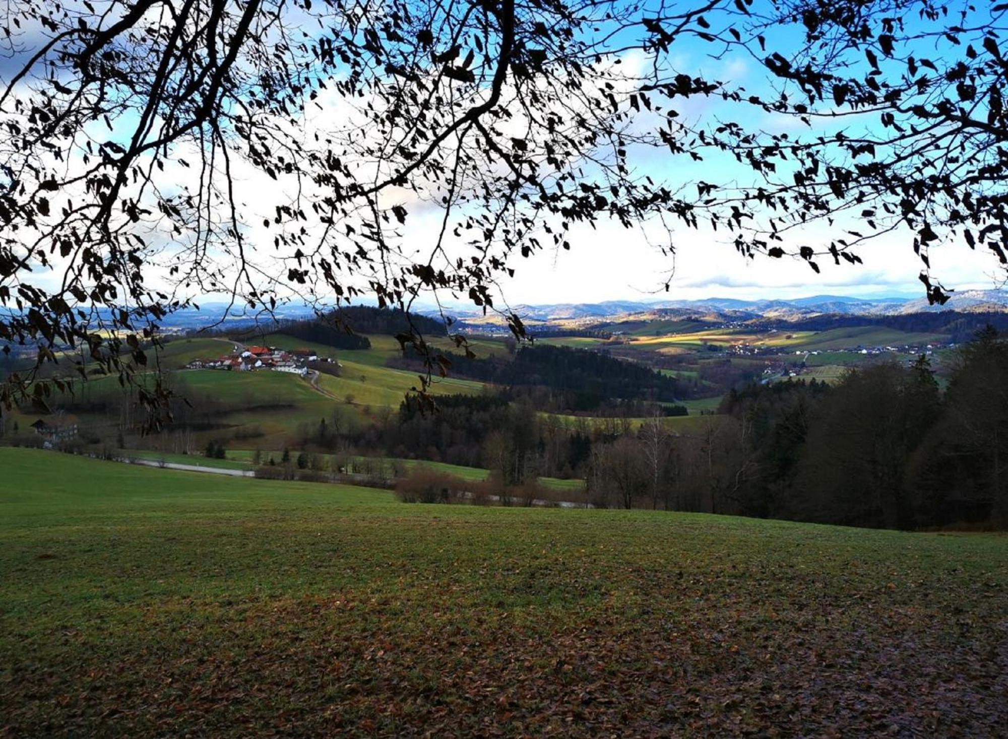 Ferienwohnung am Woid Waldkirchen Exterior foto