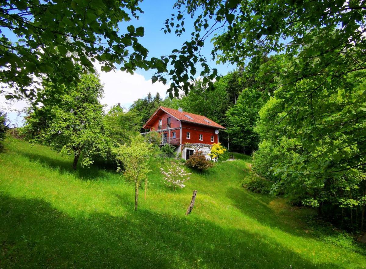 Ferienwohnung am Woid Waldkirchen Exterior foto